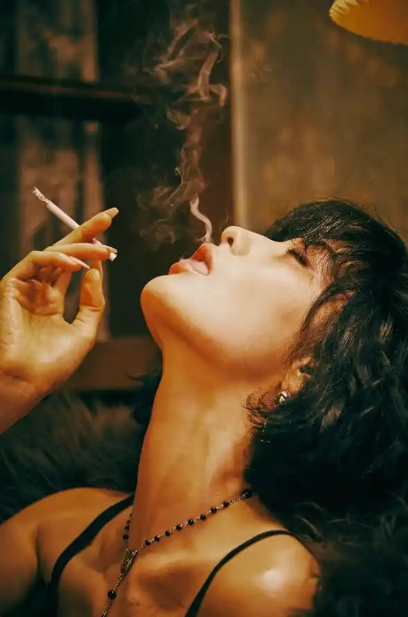 激情视频伊人二区三区婷婷秋霞字幕：经典片库的观看体验
